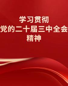 学习贯彻党的二十届三中全会精神